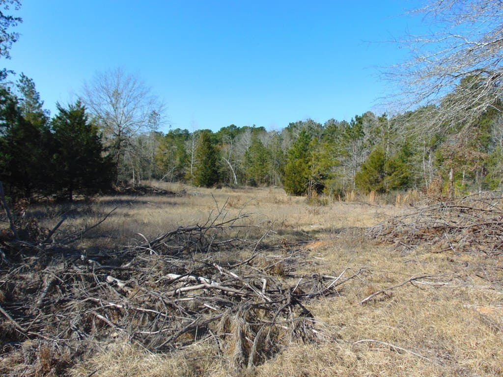 20 acres in Texas County - photo 25