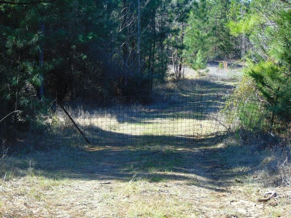 20 acres in Texas County