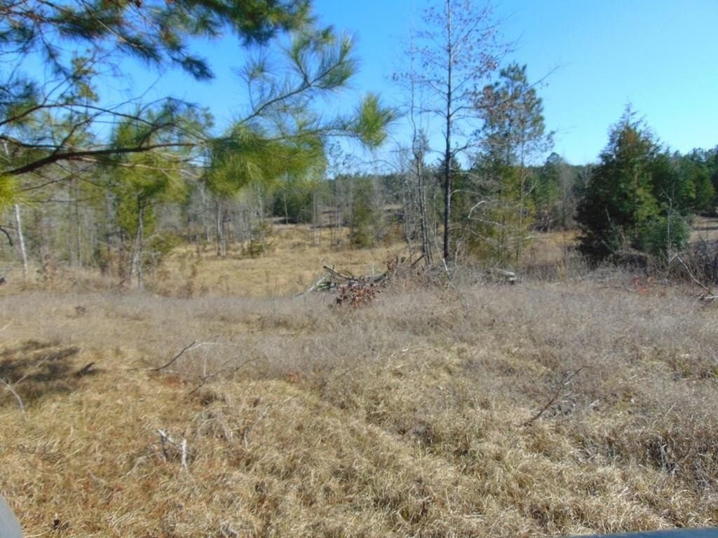 20 acres in Texas County - photo 14
