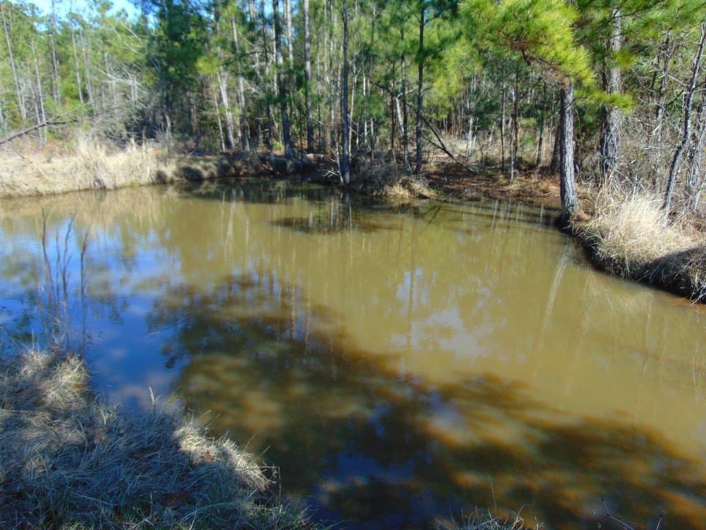 20 acres in Texas County - photo 9