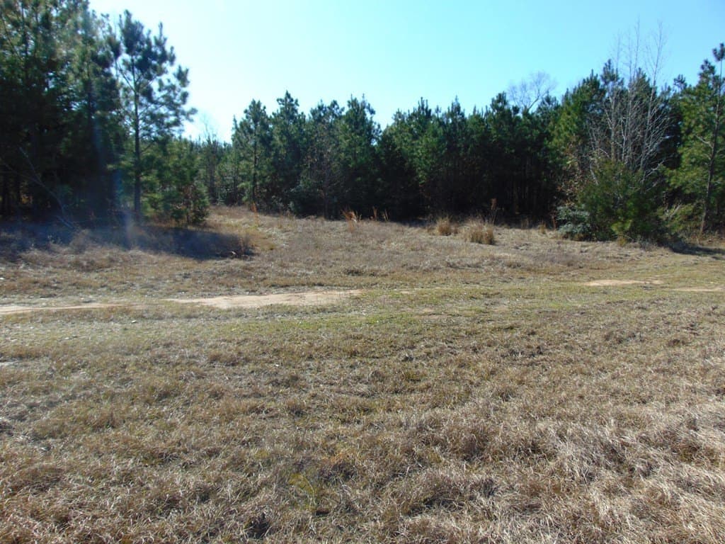 20 acres in Texas County - photo 21