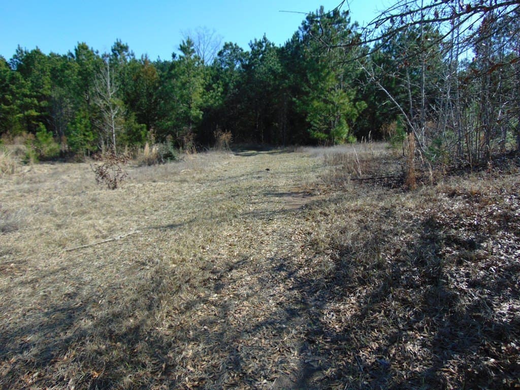 20 acres in Texas County - photo 20