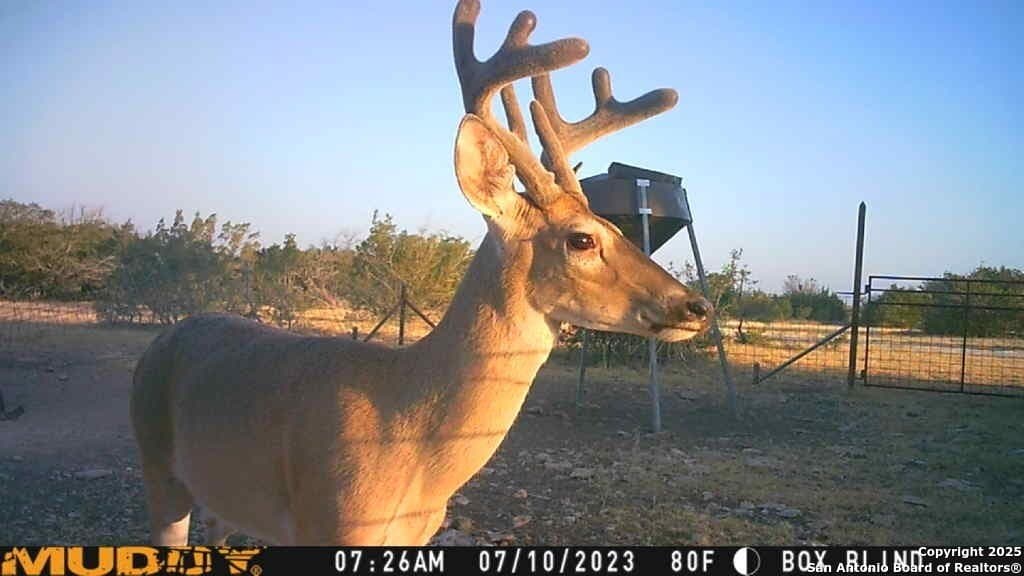 77.24 acres in Edwards County featured view