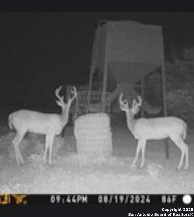 77.24 acres in Edwards County gallery image 3