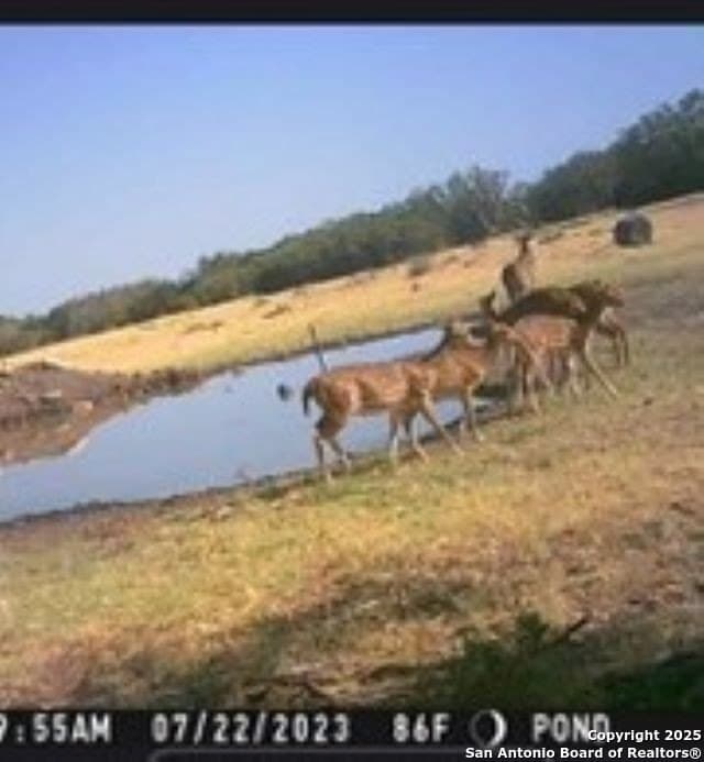 77.24 acres in Edwards County gallery image 2