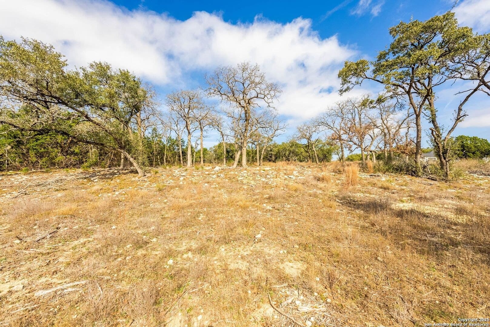 1.01 acres in Comal County - photo 25
