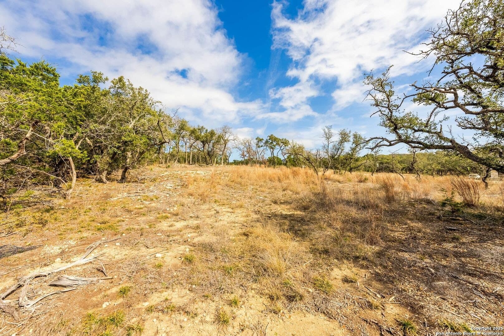1.01 acres in Comal County - photo 23