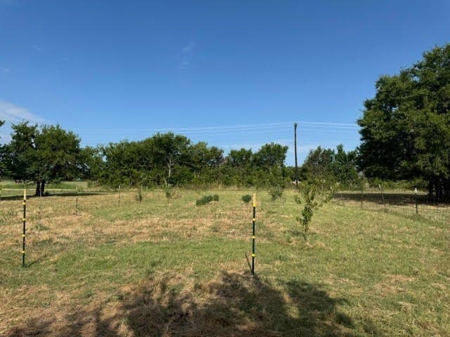 27.5 acres in Rains County gallery image 3
