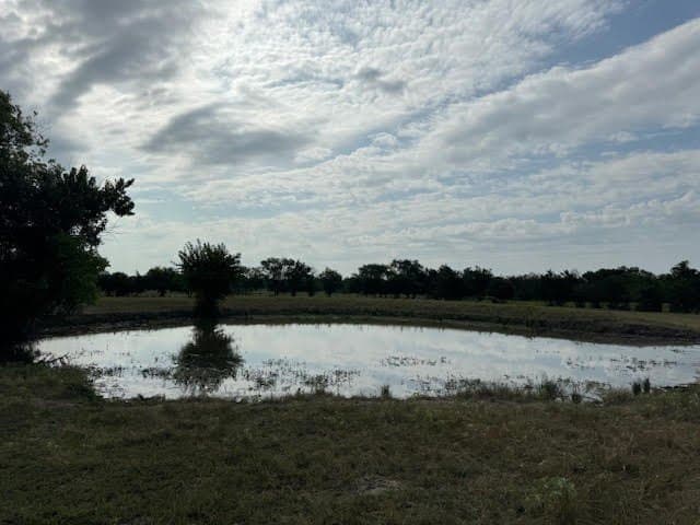 27.5 acres in Rains County gallery image 4