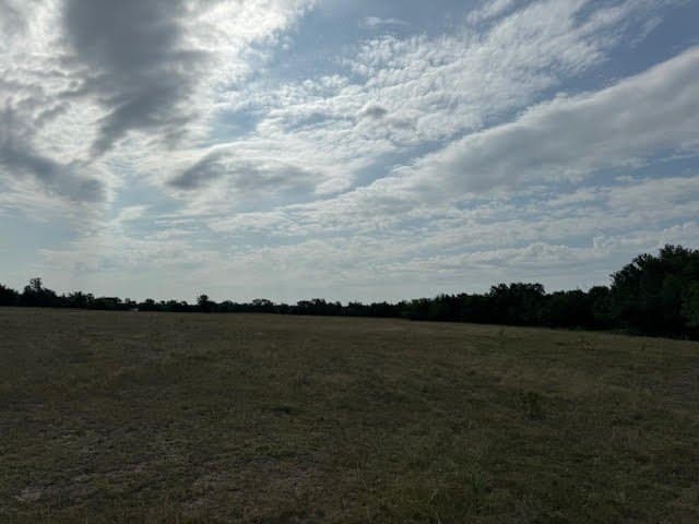 27.5 acres in Rains County - photo 7
