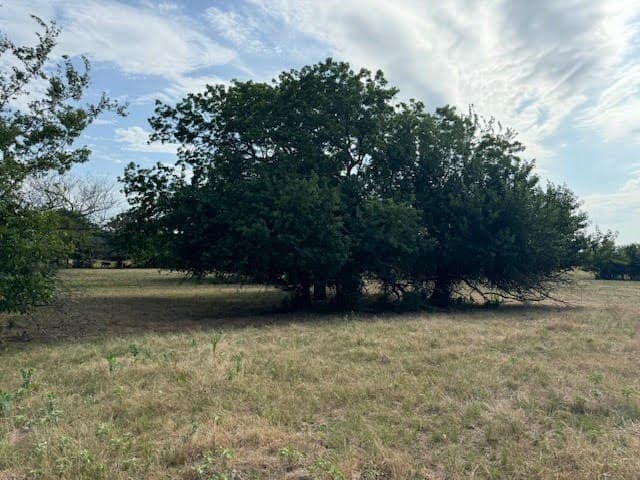 27.5 acres in Rains County - photo 11