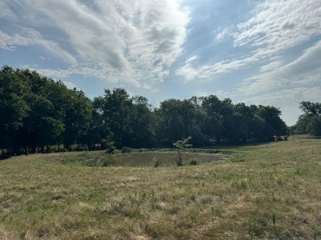 27.5 acres in Rains County - photo 13
