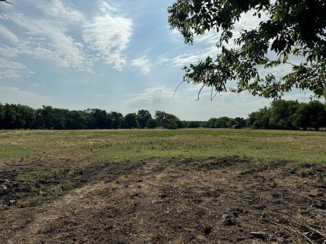 27.5 acres in Rains County - photo 8