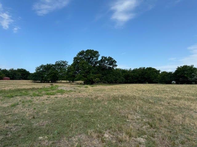 27.5 acres in Rains County - photo 6
