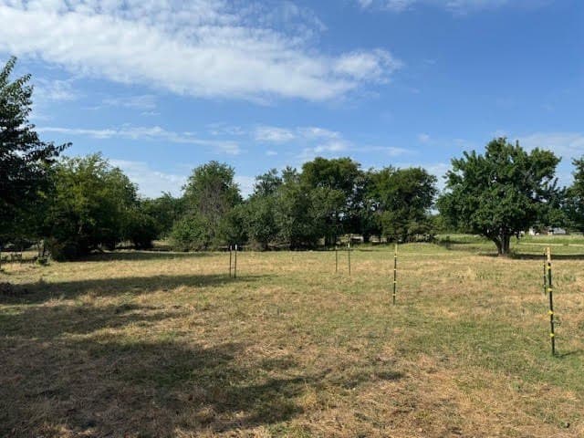 27.5 acres in Rains County gallery image 2