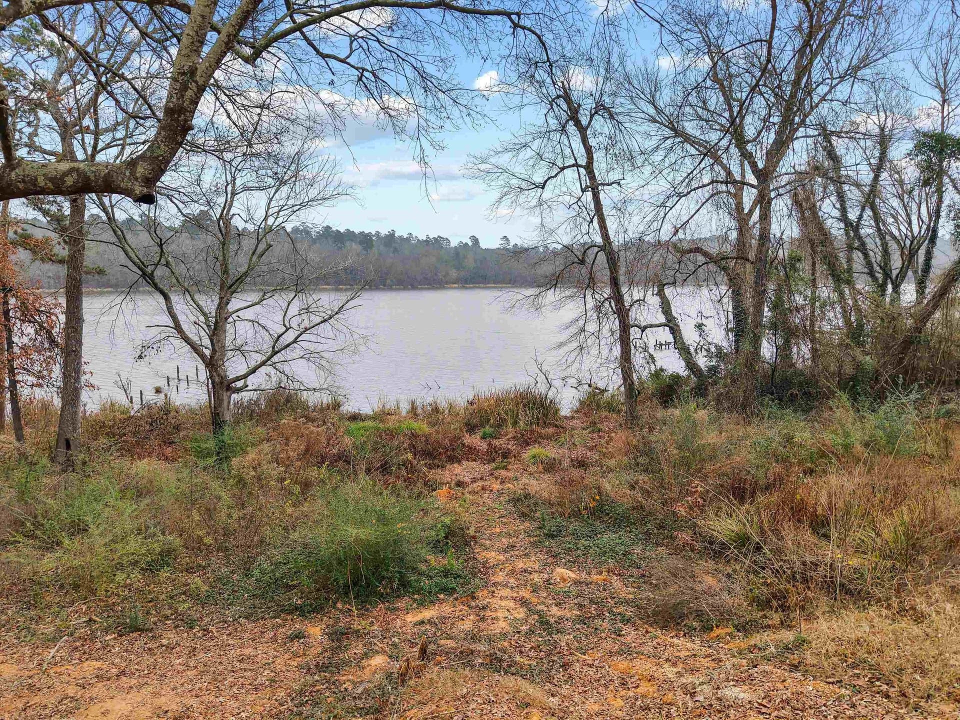 0.8 acres in Upshur County - photo 2