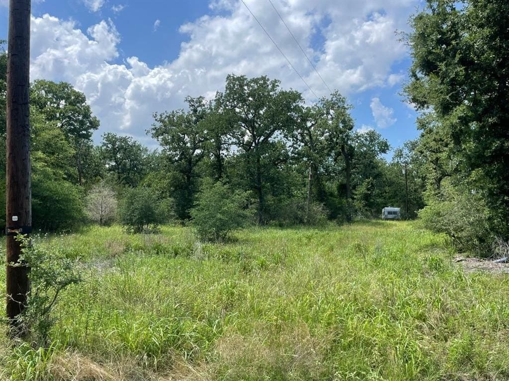0.53 acres in Limestone County gallery image 2
