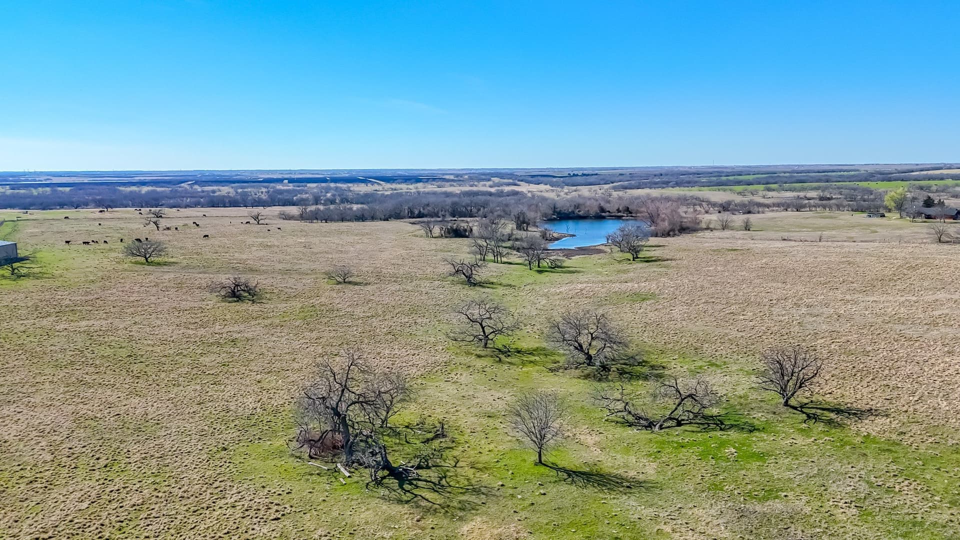115.31 acres in Navarro County - photo 20