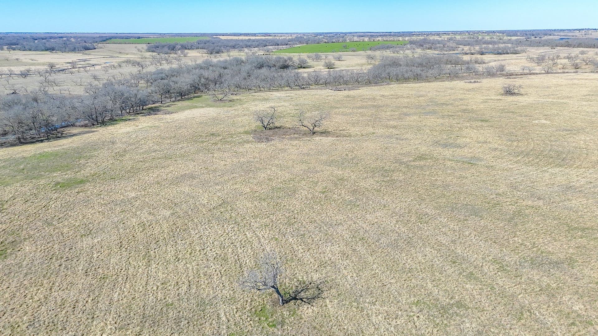 115.31 acres in Navarro County - photo 27