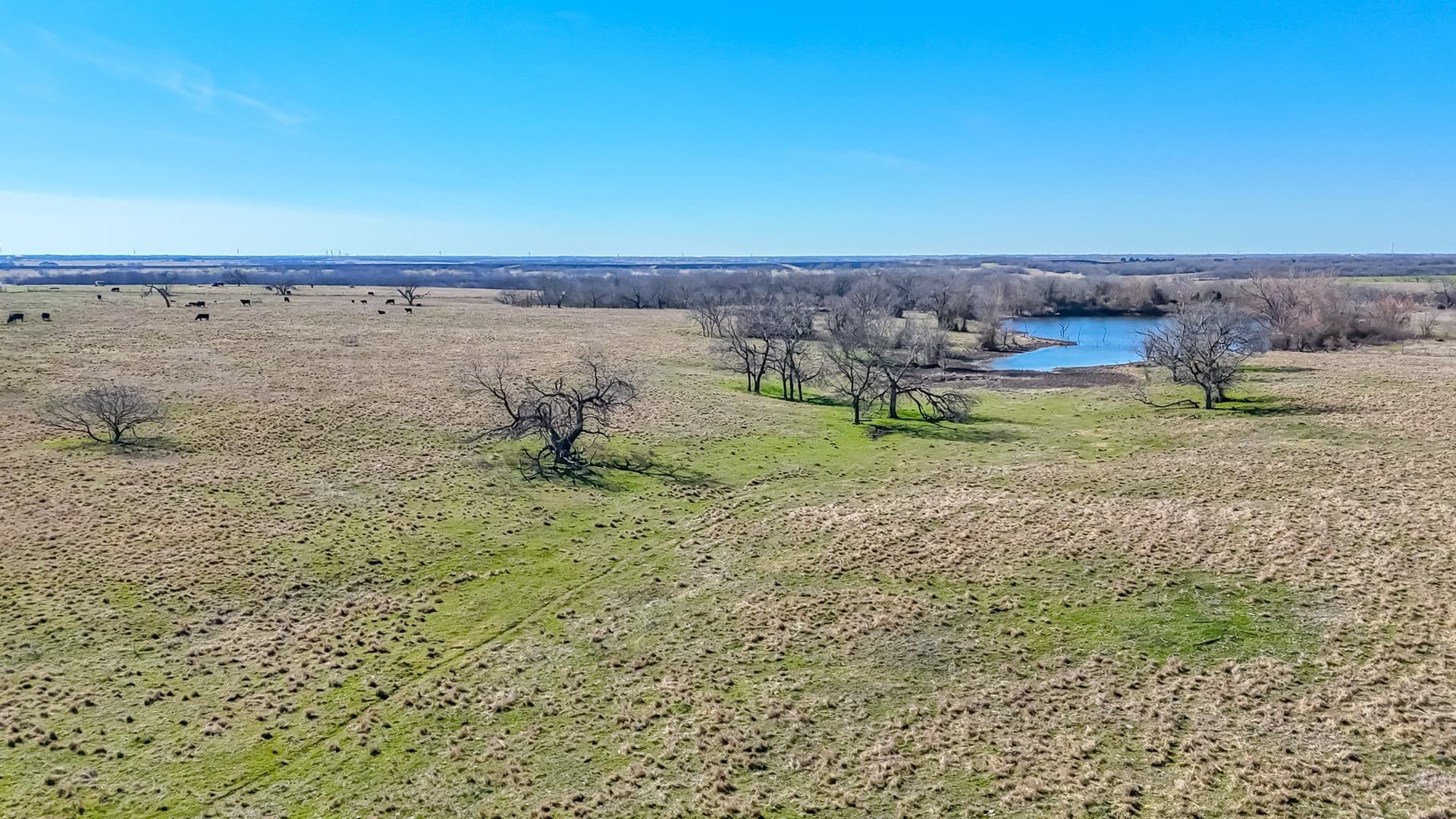 115.31 acres in Navarro County featured view