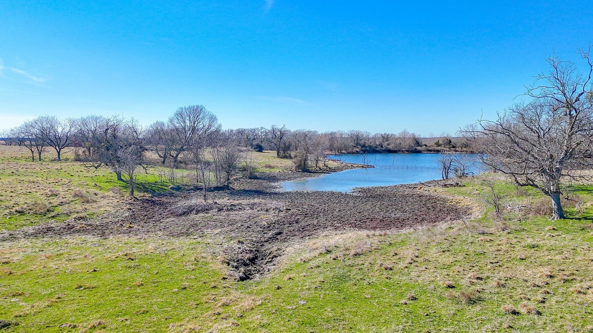 115.31 acres in Navarro County gallery image 4