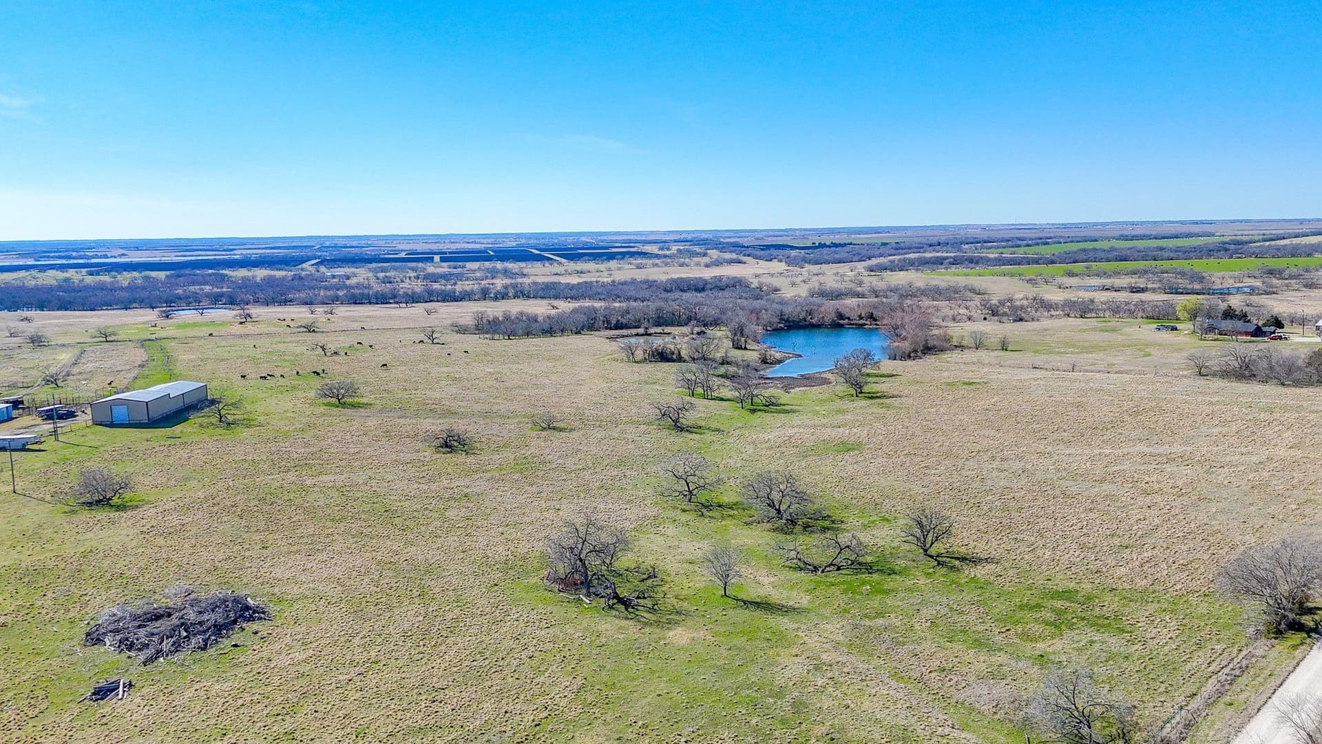 115.31 acres in Navarro County - photo 6