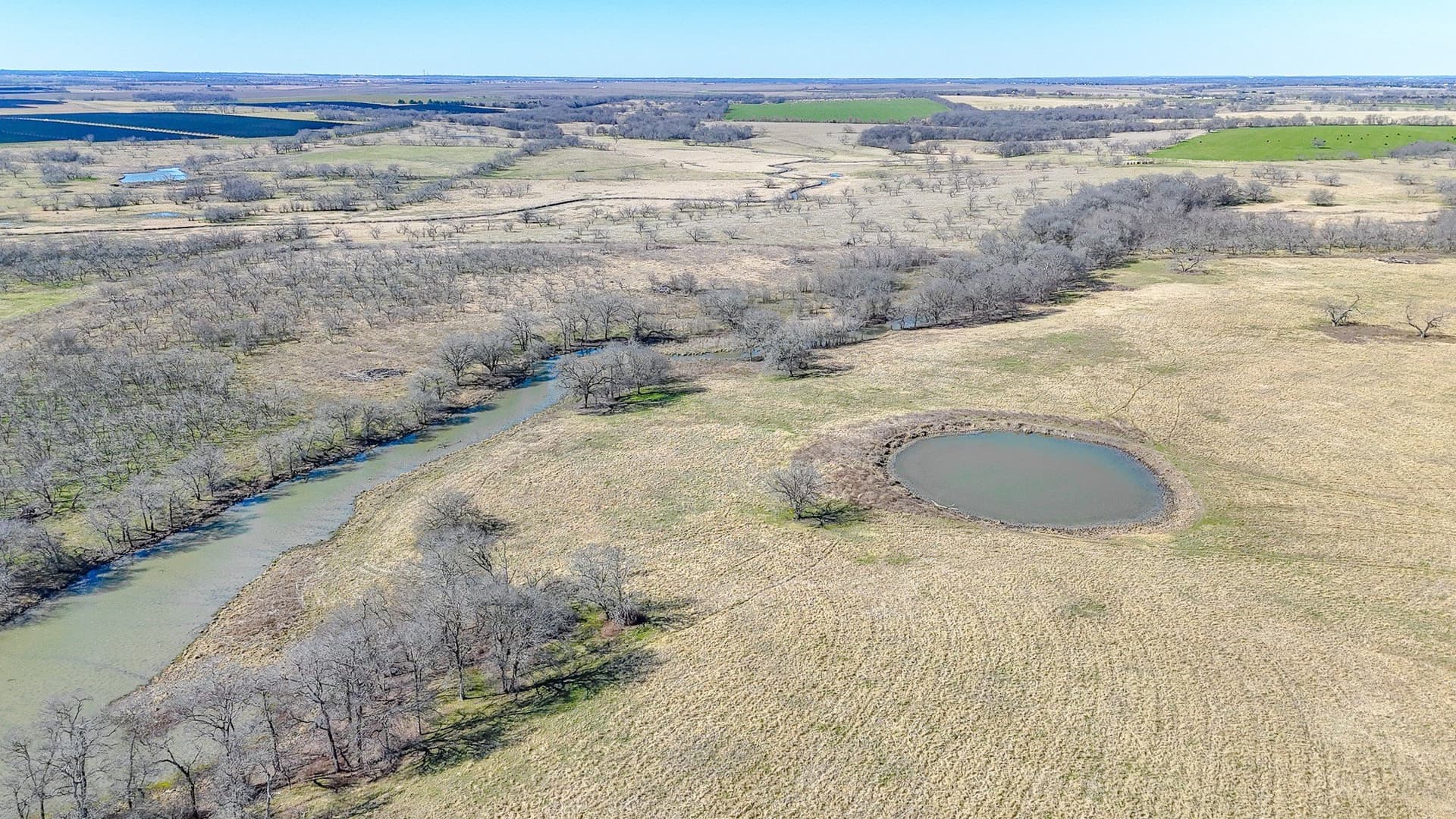 115.31 acres in Navarro County - photo 8