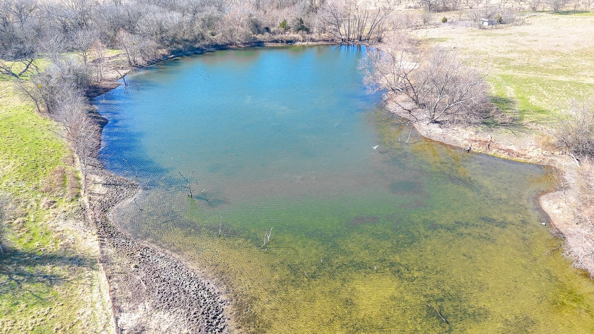 115.31 acres in Navarro County gallery image 2