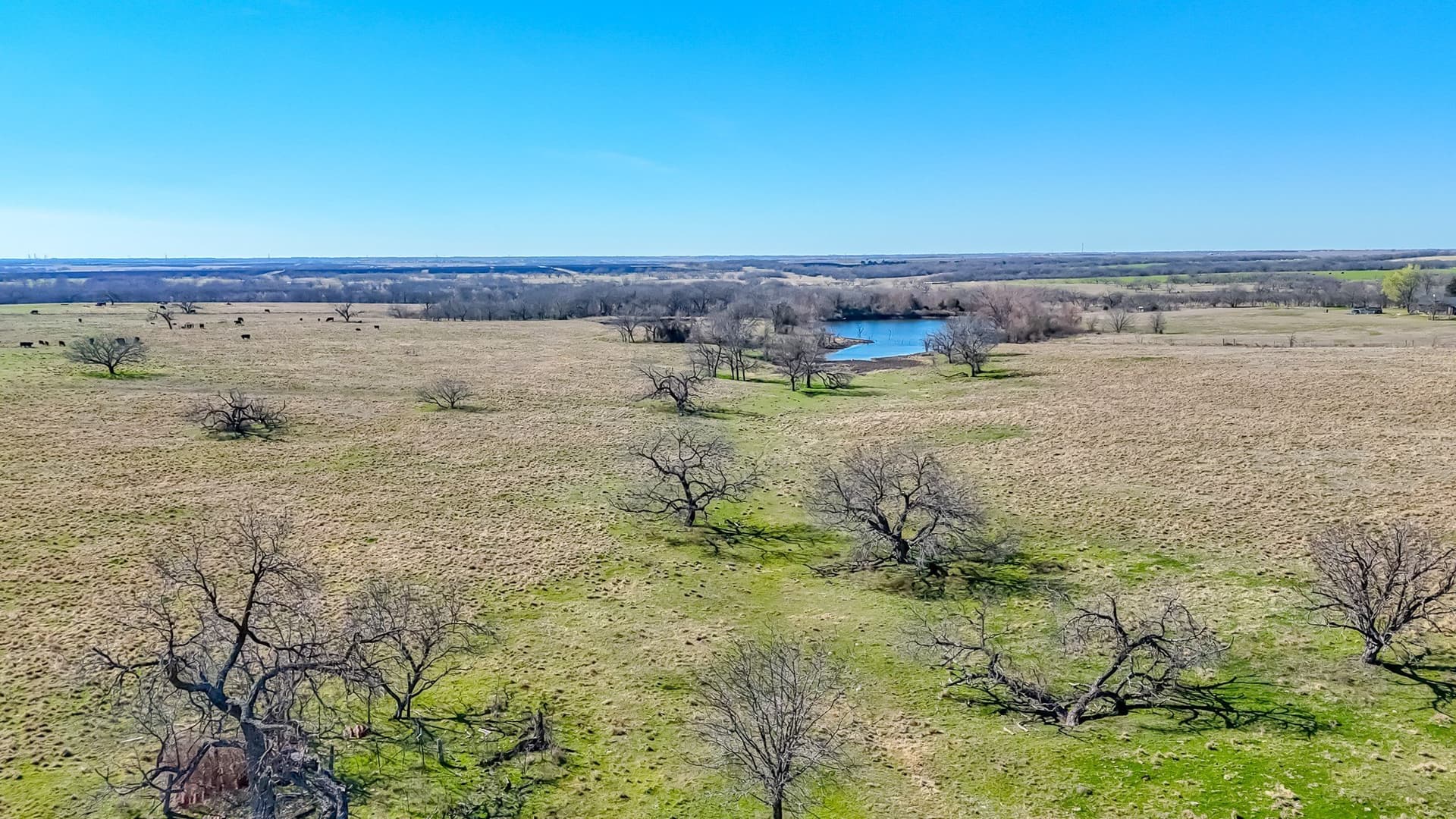 115.31 acres in Navarro County - photo 21
