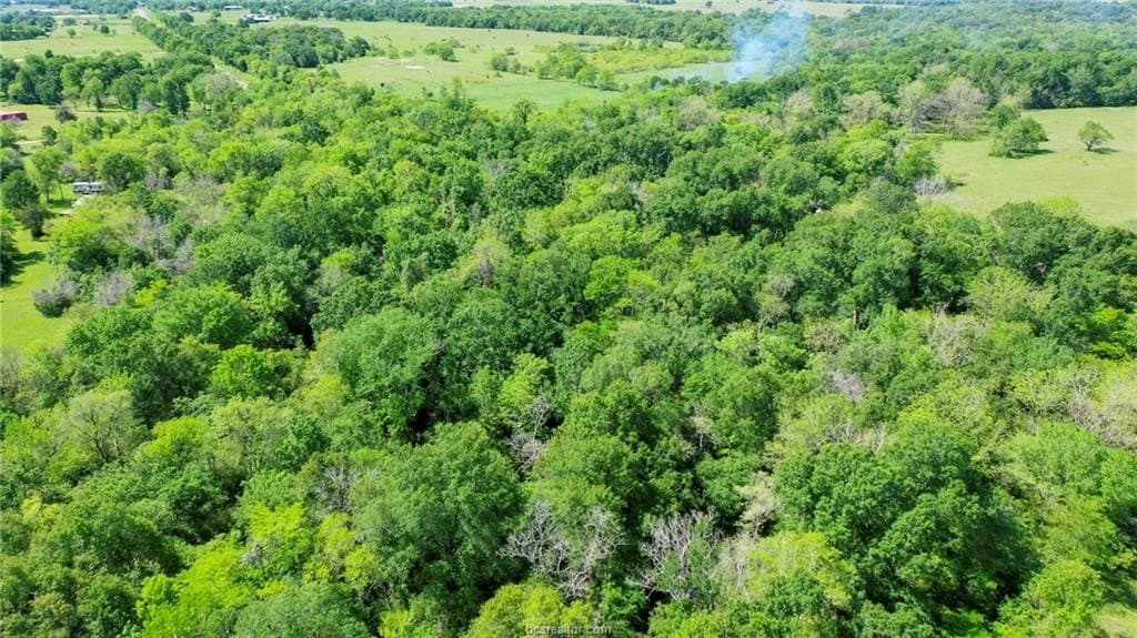 13.64 acres in Madison County - photo 34