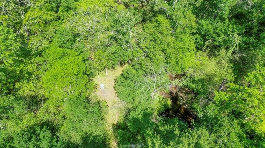 13.64 acres in Madison County - photo 36