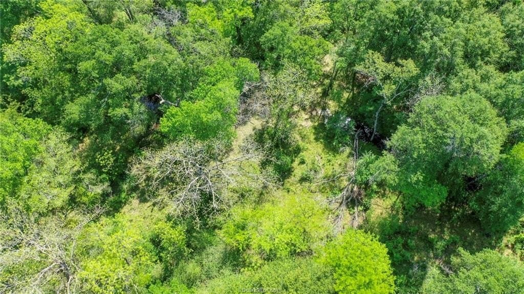 13.64 acres in Madison County - photo 35