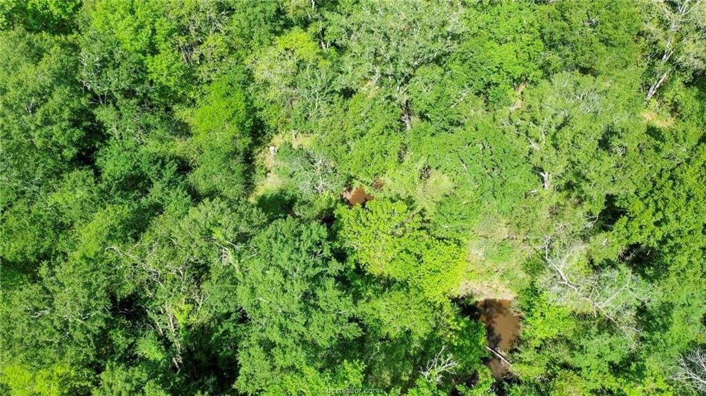 13.64 acres in Madison County - photo 37