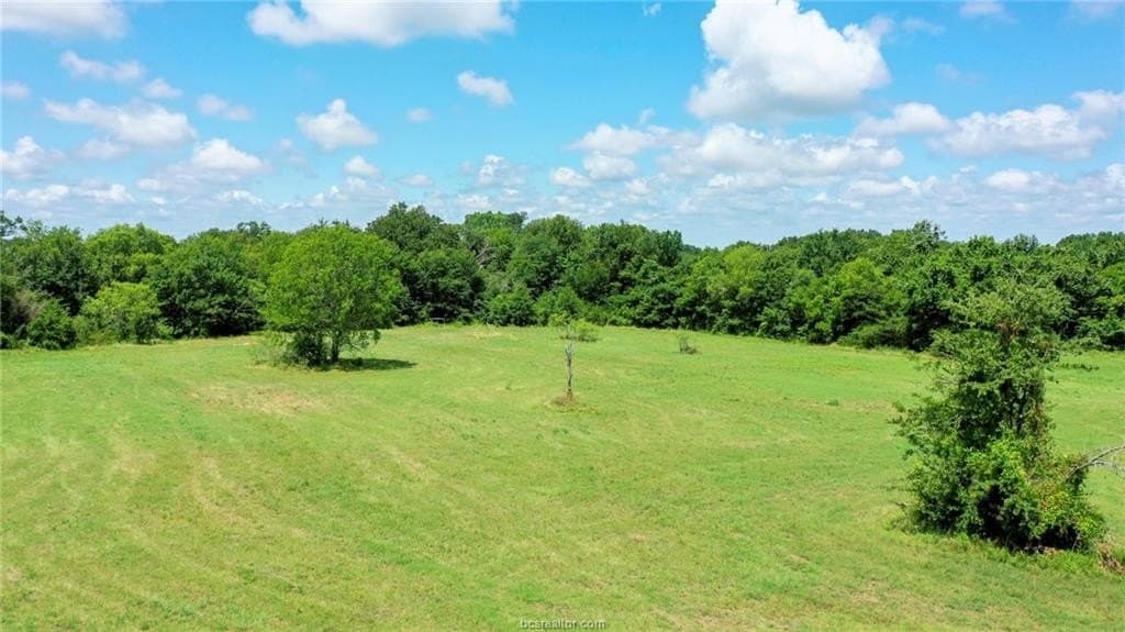 18 acres in Madison County - photo 8