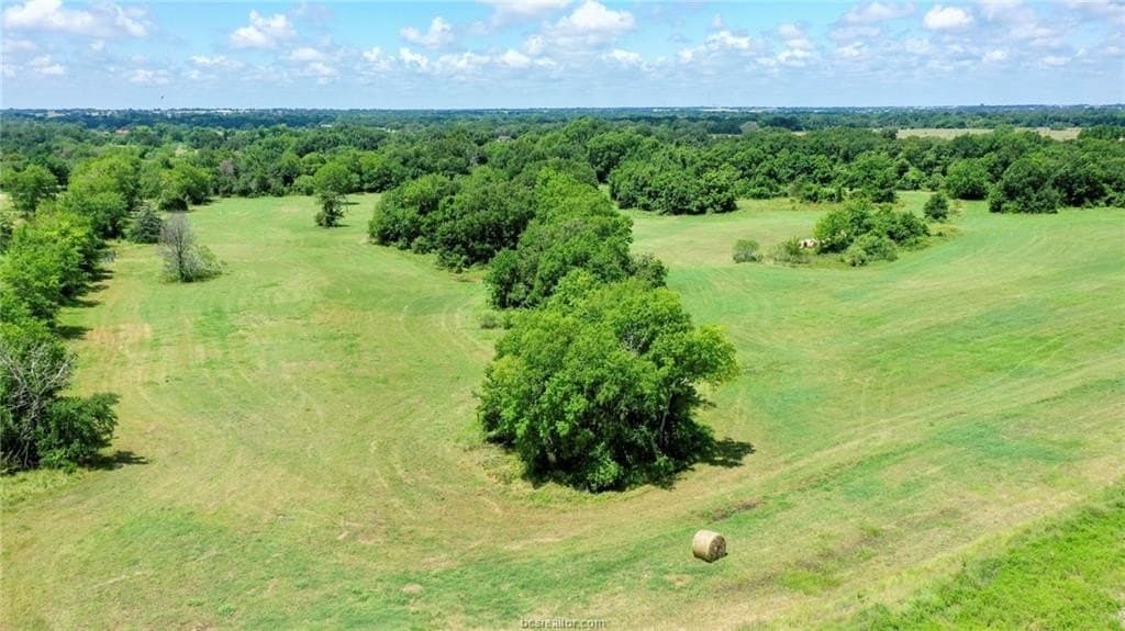18 acres in Madison County - photo 11