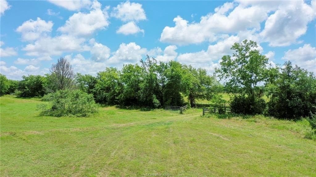 18 acres in Madison County - photo 7