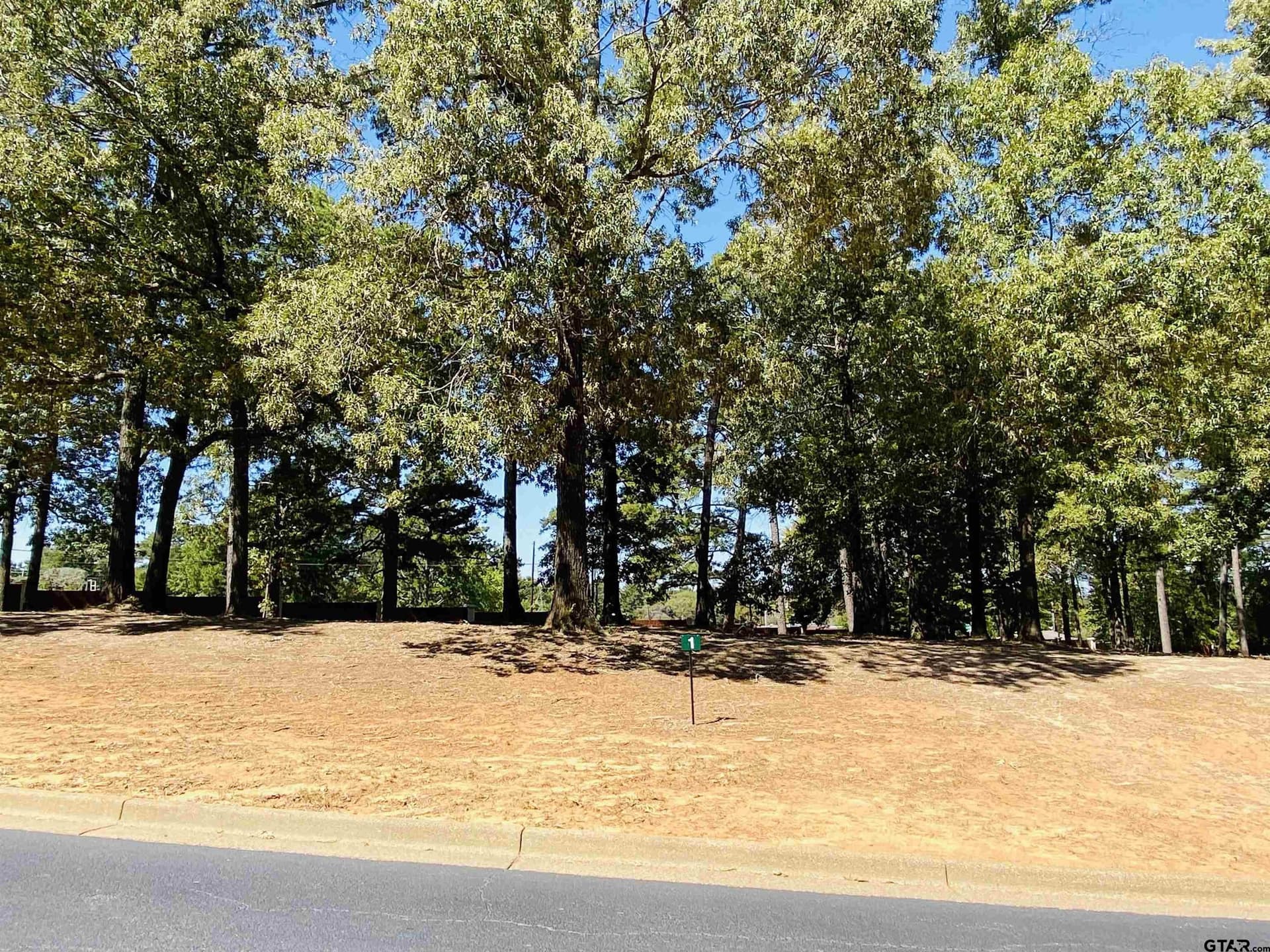 0.45 acres in Anderson County gallery image 3