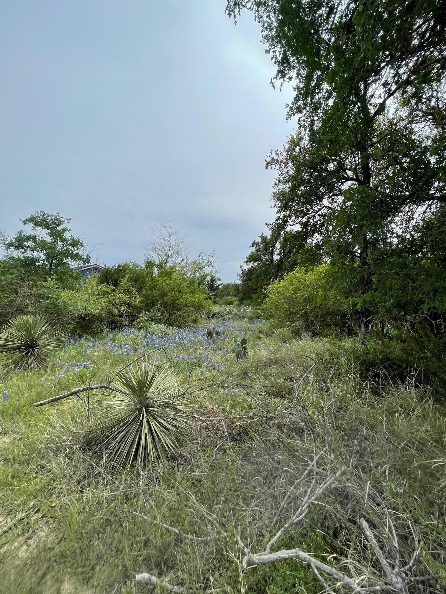 0.23 acres in Burnet County - photo 6