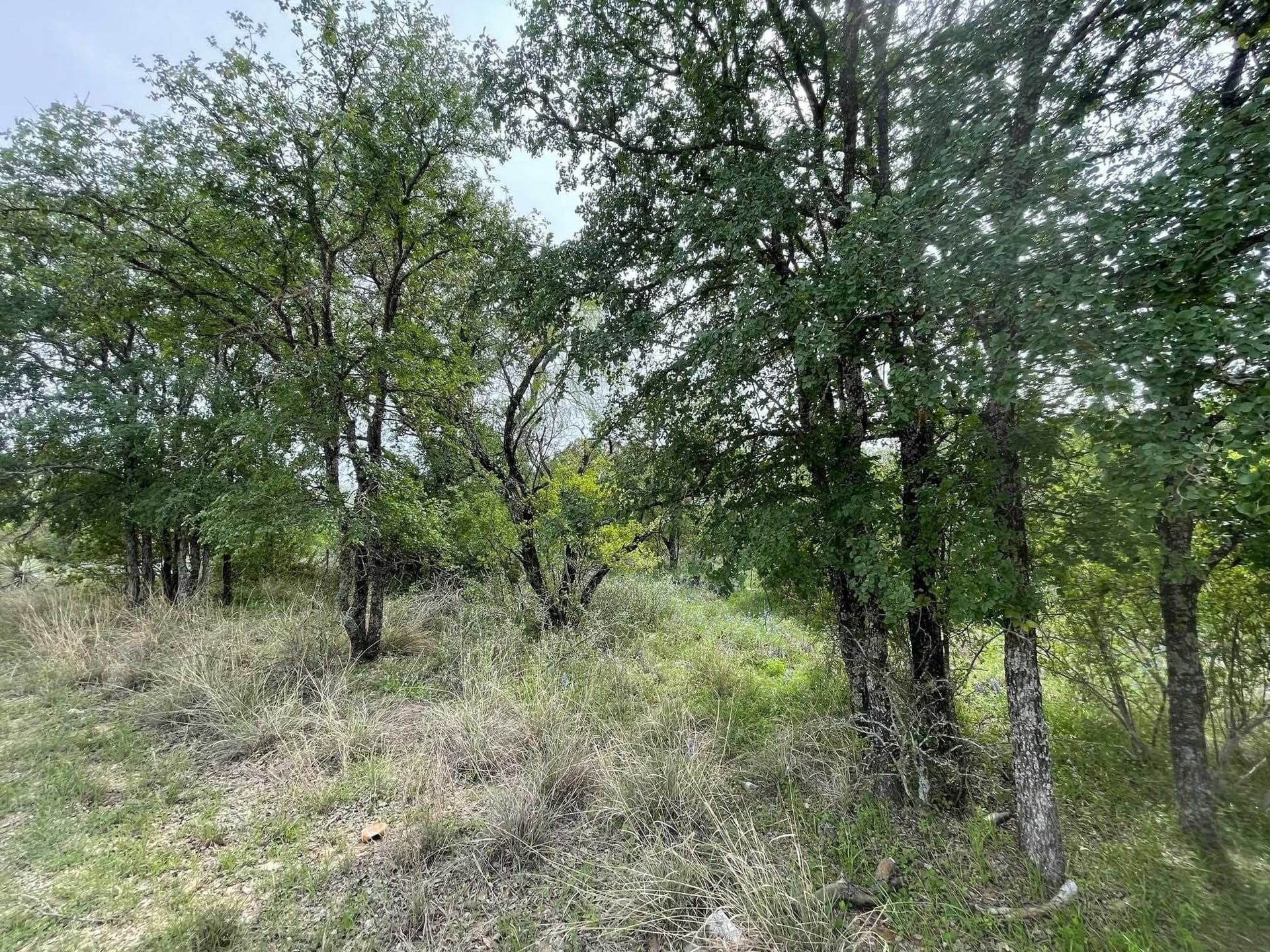 0.23 acres in Burnet County gallery image 4