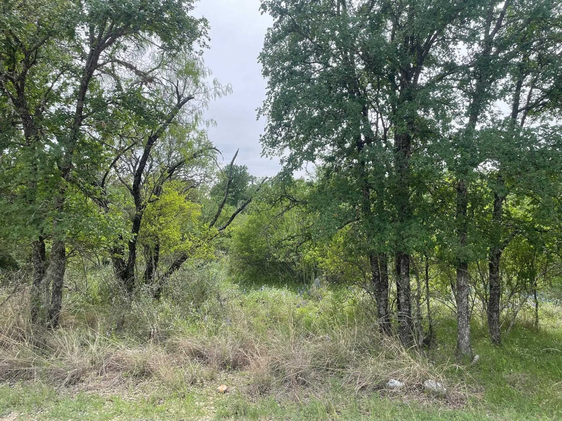 0.23 acres in Burnet County gallery image 3