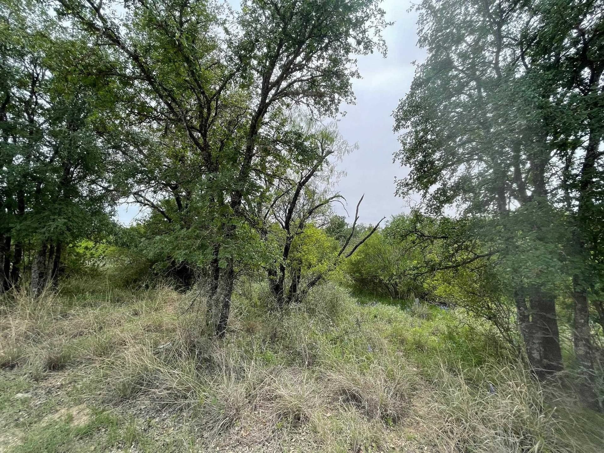 0.23 acres in Burnet County featured view