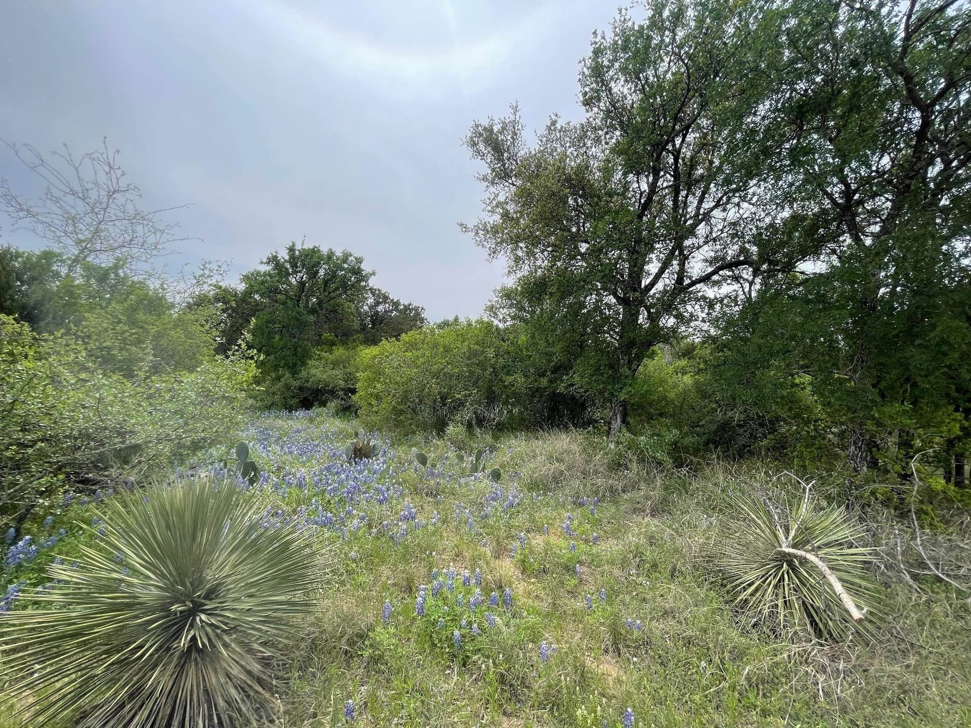 0.23 acres in Burnet County