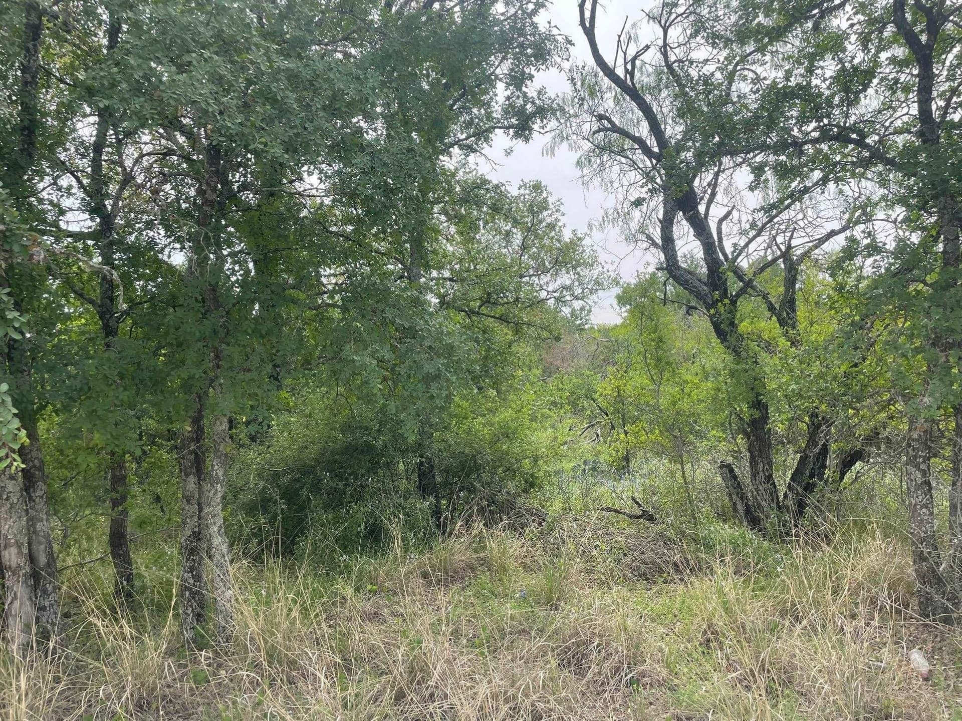 0.23 acres in Burnet County gallery image 2