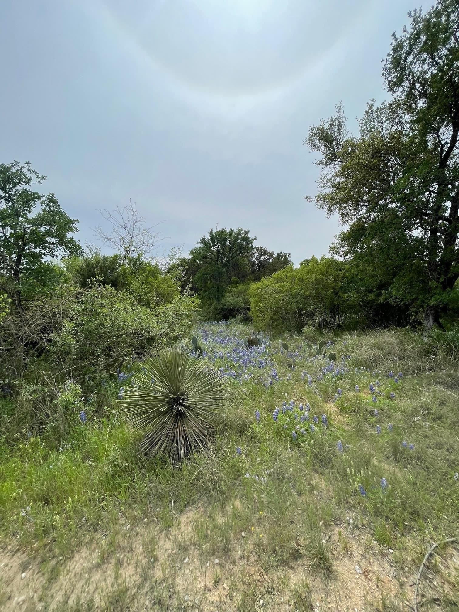 0.23 acres in Burnet County - photo 7