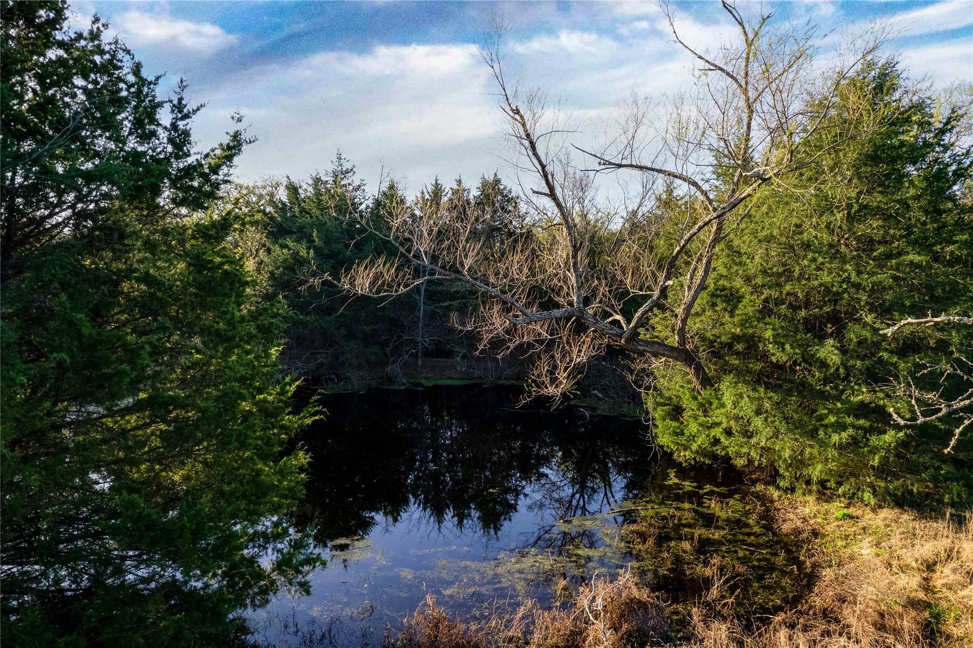 15.53 acres in Hopkins County - photo 12