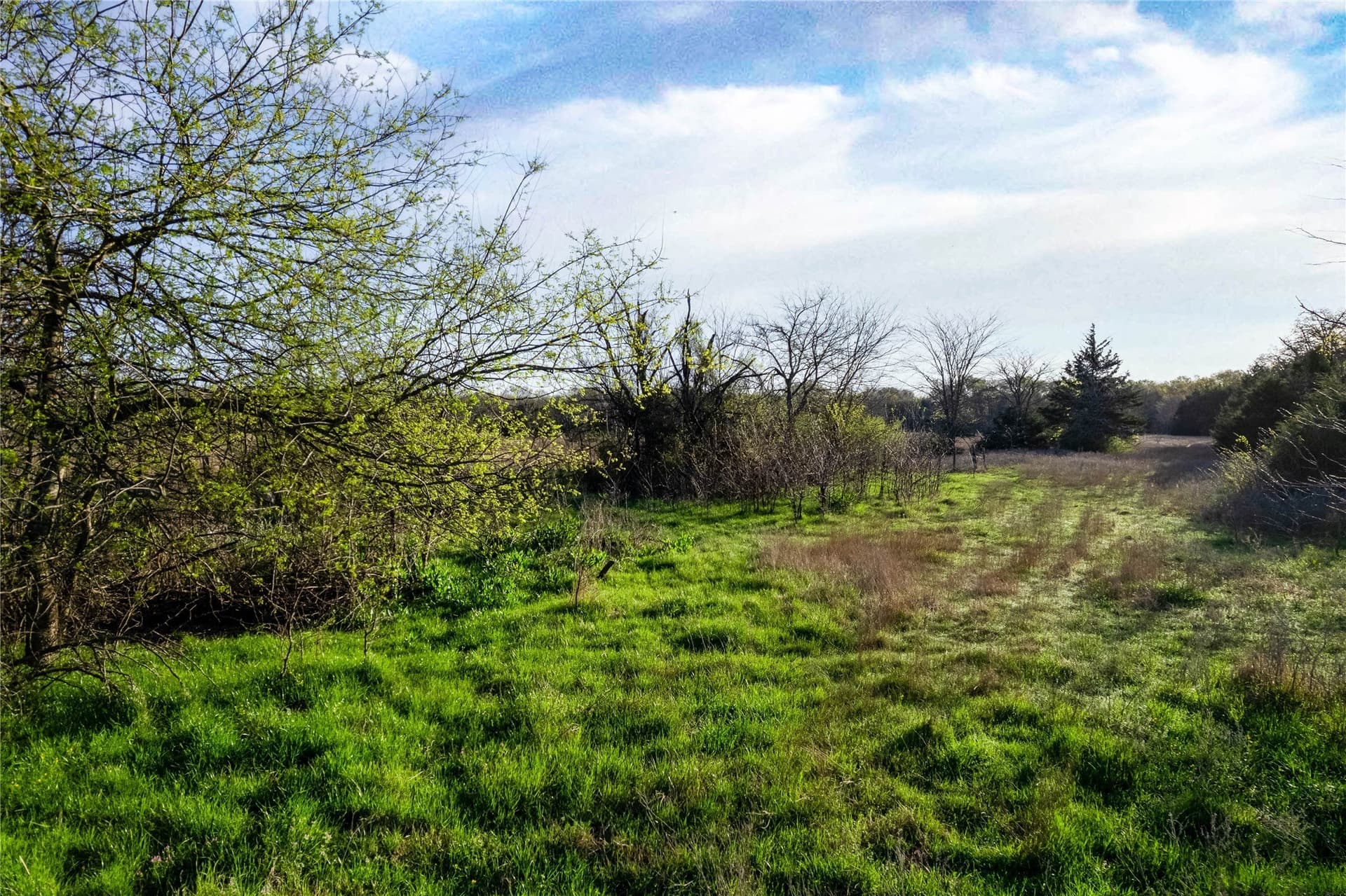 15.53 acres in Hopkins County - photo 19