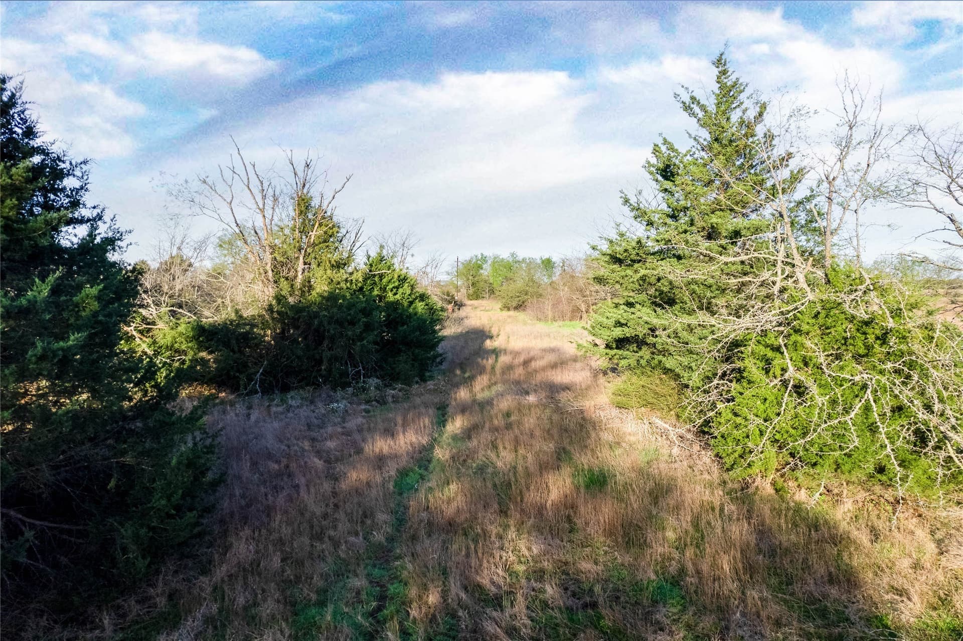 15.53 acres in Hopkins County - photo 18