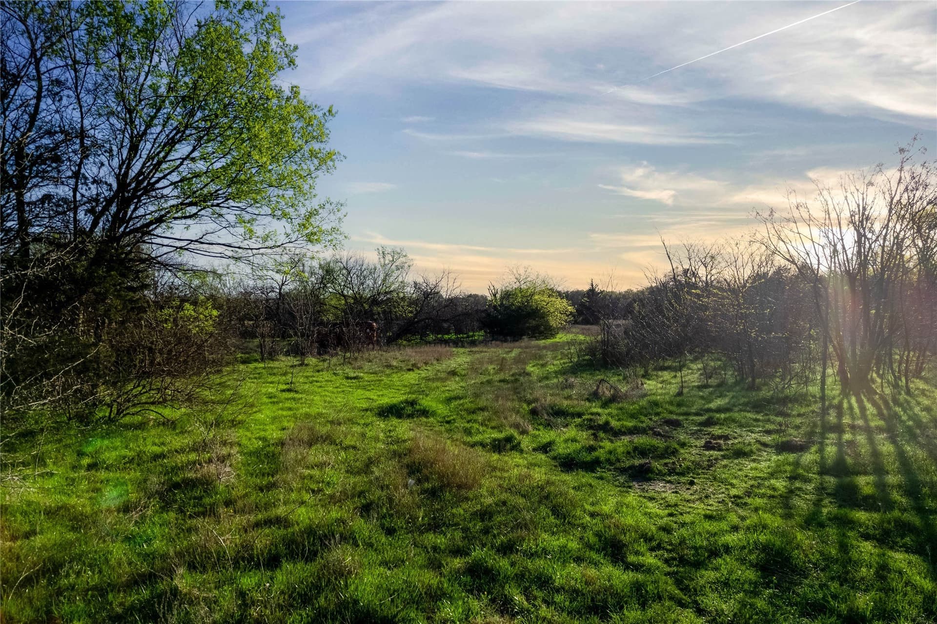 15.53 acres in Hopkins County - photo 13