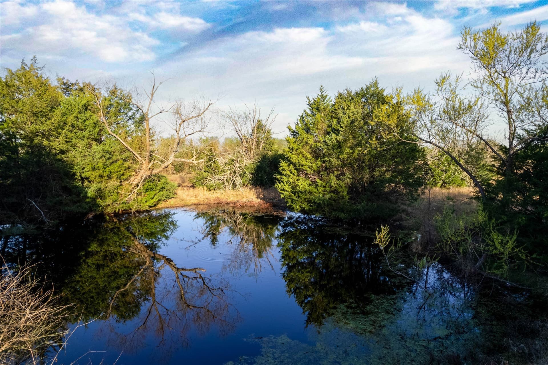 15.53 acres in Hopkins County - photo 7