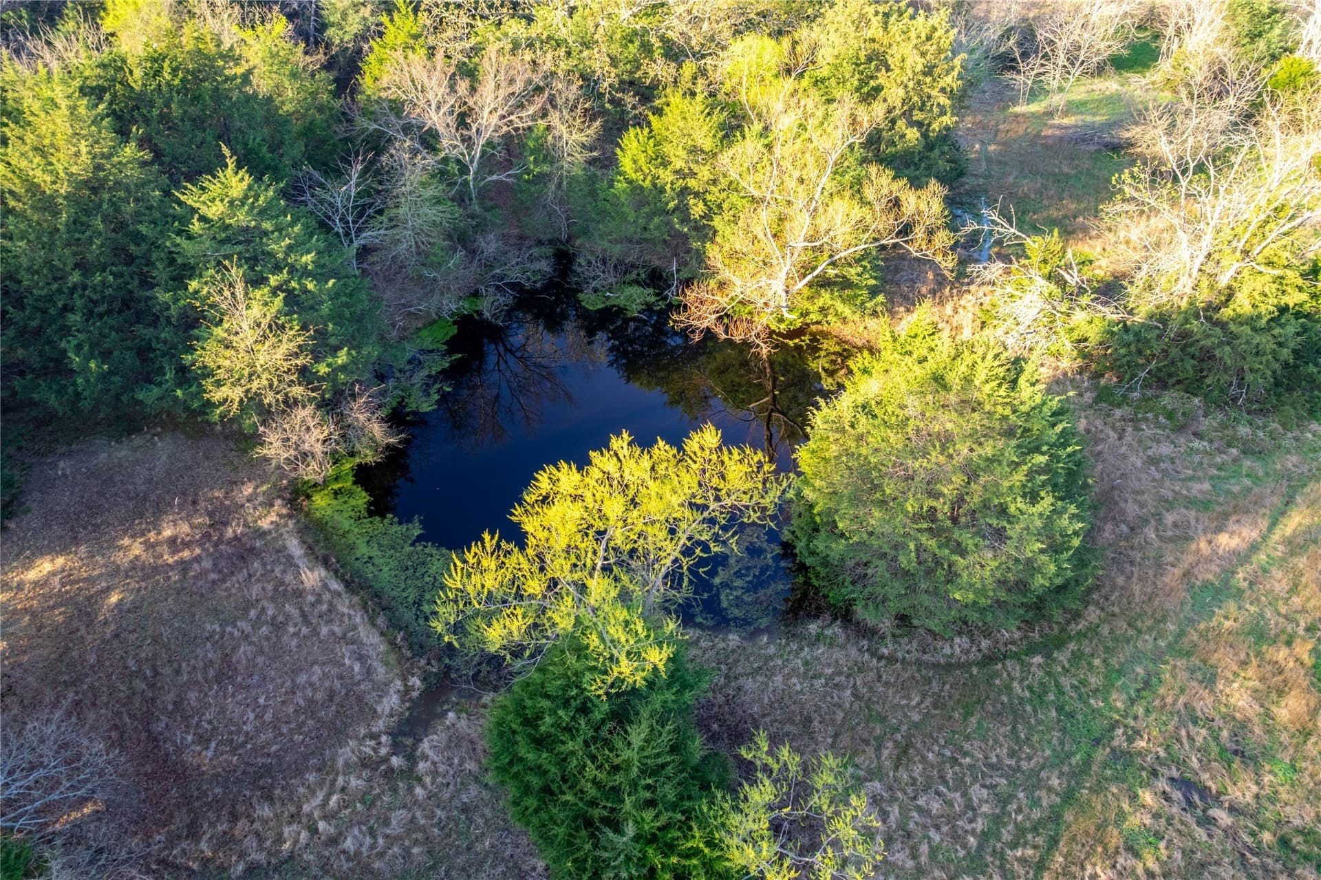 15.53 acres in Hopkins County - photo 10